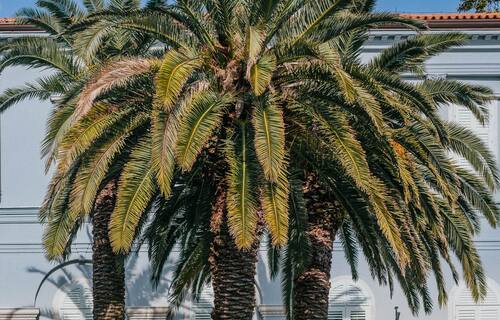 Opatija 12